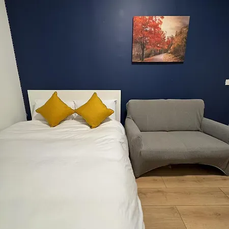 13 Summerhill South コーク