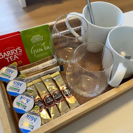 13 Summerhill South * コーク